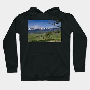 850_2023 Hoodie